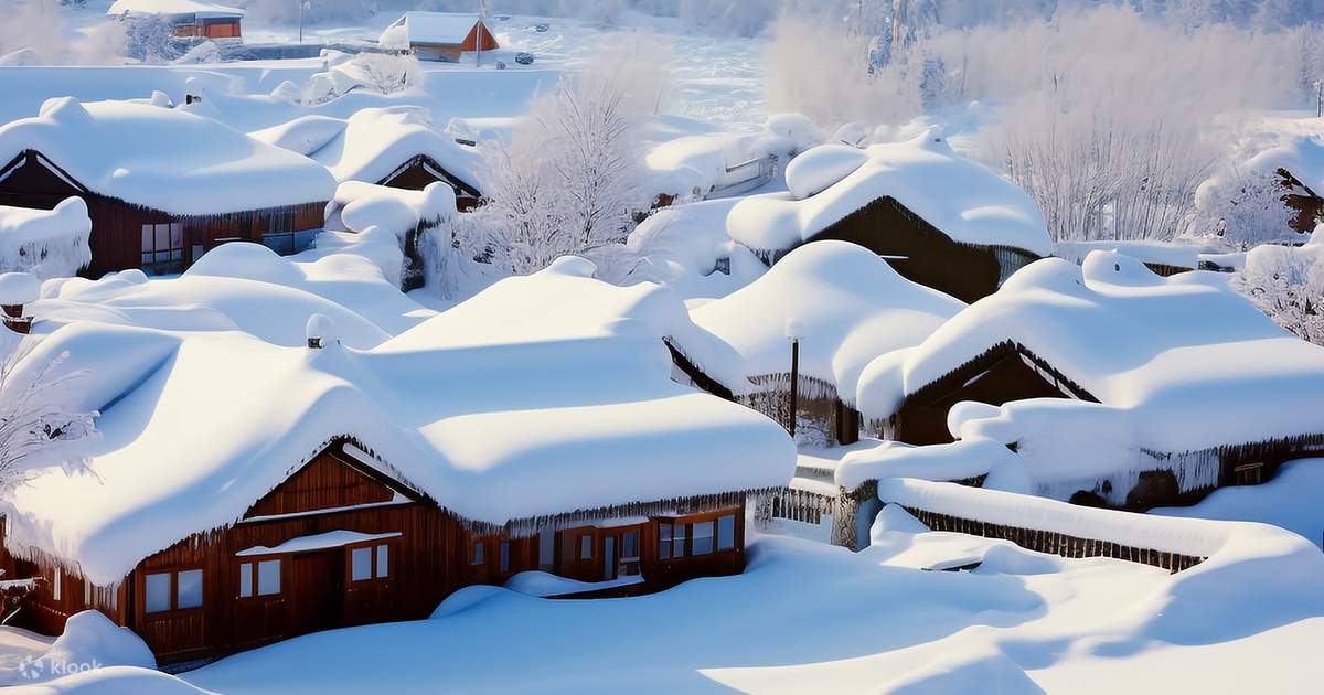 [Ice and Snow Dream Panoramic Northeast] Harbin 9 Days 8 Nights丨Skiing ...
